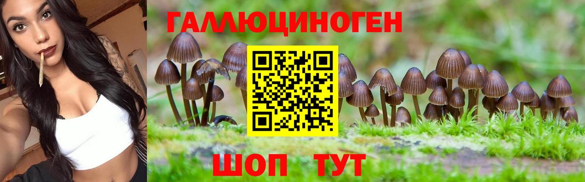 Псилоцибиновые грибы Cubensis  Вход с VPN  Псилоцибиновые грибы GOLDEN TEACHER  Гудермес 