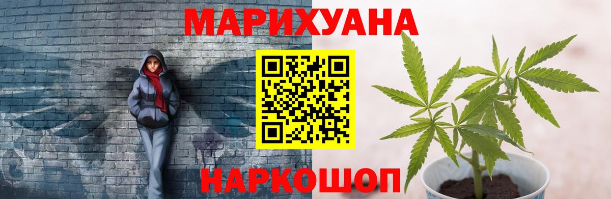 Бошки марихуана Amnesia Гудермес